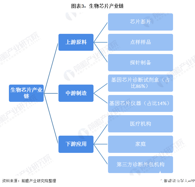 图表3：生物芯片产业链