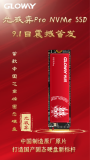 首款中国芯全国产光威弈Pro M.2 NVMe SSD震撼首发！