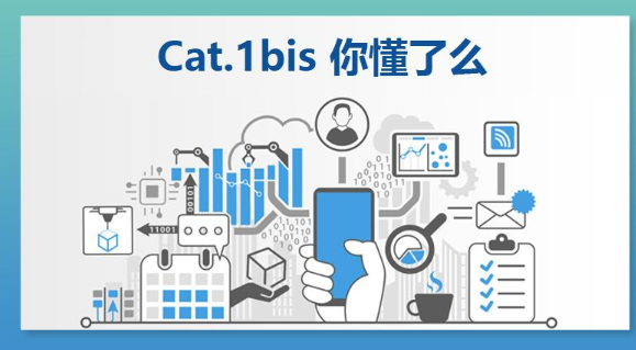 Cat.1bis 你懂了么
