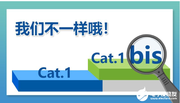Cat.1bis 你懂了么