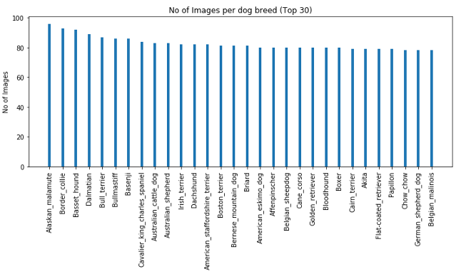 利用Python实现网页应用程序，可图片识别狗的类型（附源码）