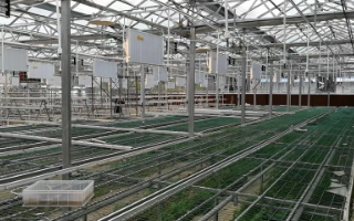 智能温室大棚控制系统有什么特点,它有哪些优势