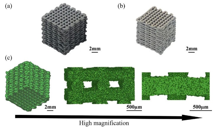 3D打印的可生物降解镁支架，在骨缺损再生或将有很好的应用