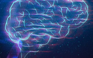 全球汽车人工智能(AI)市场的研究报告