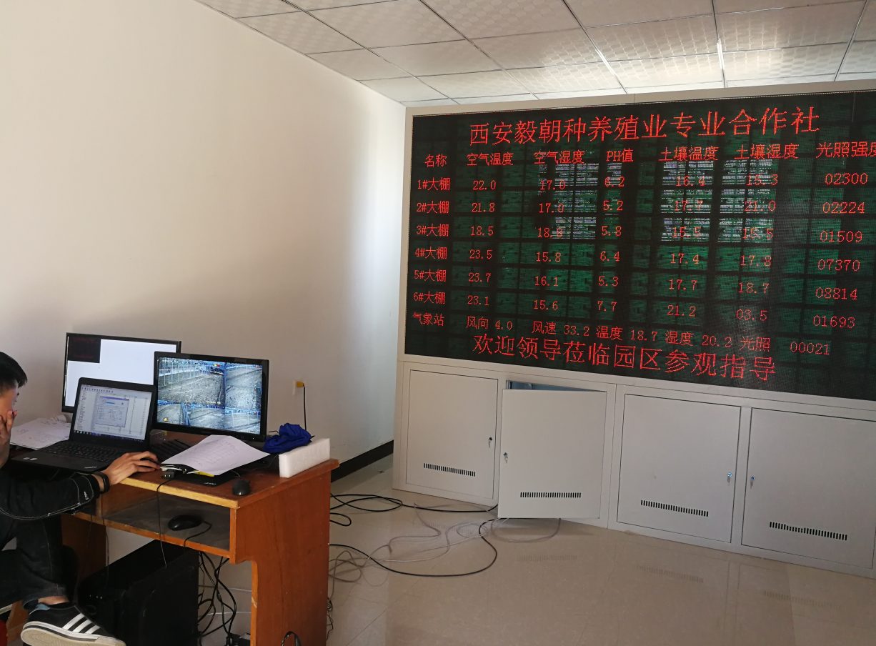 智能温室管理系统在温室大棚中的实际应用效果