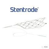 神经血管生物电子医学公司Synchron以神经调控平台装置——Stentrode