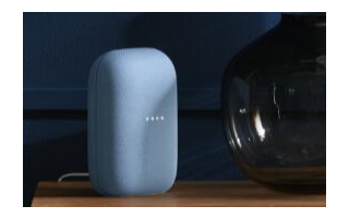 Google似乎正计划提供两种不同颜色的Nest...