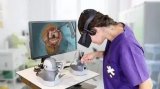 VR/AR技术在不同行业领域都有哪些应用呢?