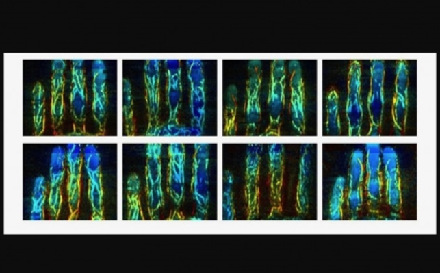 美国科学家研发生物验证系统,执行三维扫描更难被欺...