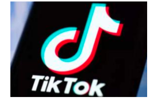 TikTok已提议成立一个由社交媒体公司组成的全...