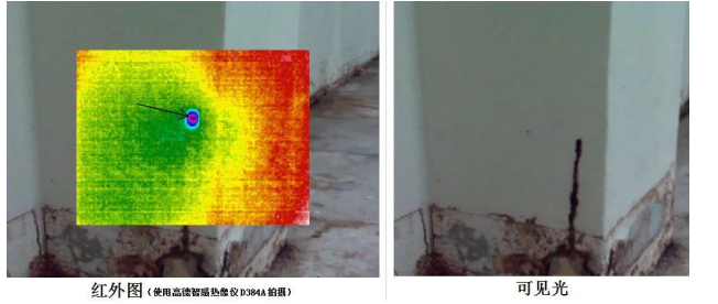 红外热像仪在建筑检测—防治白蚁中的实地应用