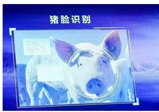 阿里巴巴新研发智能农业平台已经被广泛使用