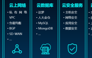 中国电科展示为政企客户提供“数字解决方案”的能力