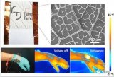 研究团队从植物叶片开发了一种可生物降解、透明、柔...