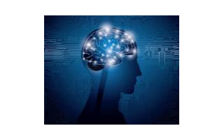 自然和人工智能网络以相同方式处理视觉图像的3D片...