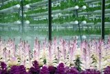 談談2021年中國照明的十大走勢