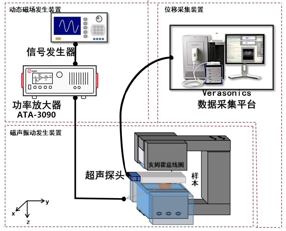 基于低频磁激励与主动式超声探测的磁声成像方法