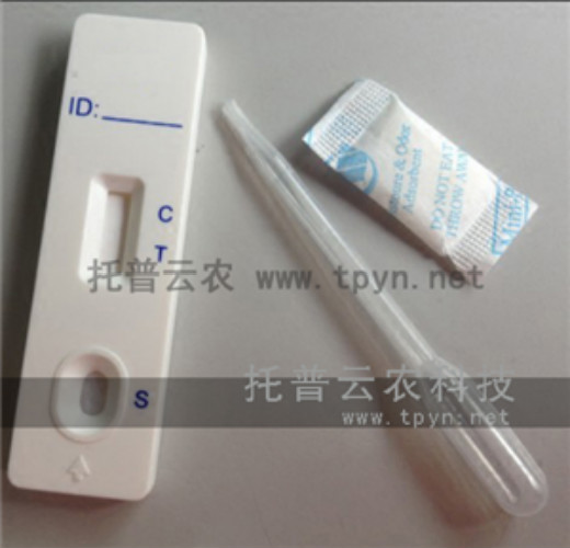 应用转基因检测试剂盒需要注意的事项有哪些