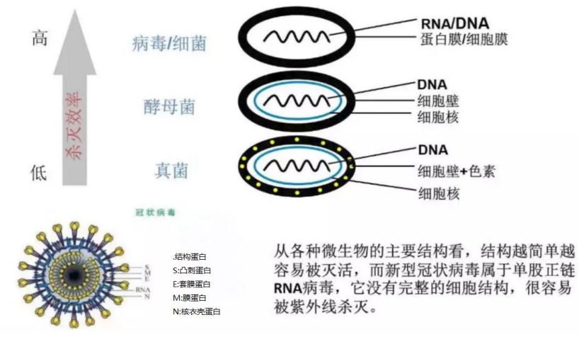 UV-LED紫外燈殺菌效果評(píng)估