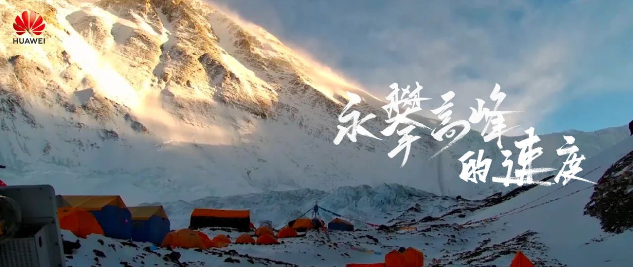 数字化+行业的收获时分,人间烟火即是数字中国