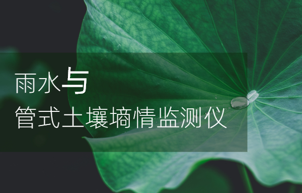 雨水与管式土壤墒情监测仪的优势是什么
