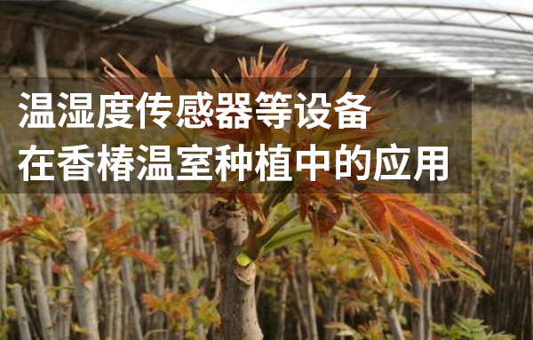 温湿度传感器在香椿温室种植中有着怎样的作用