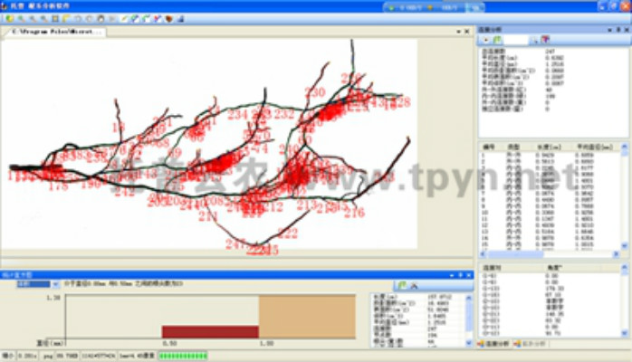 根系分析仪的作用是什么，它的实际意义是什么