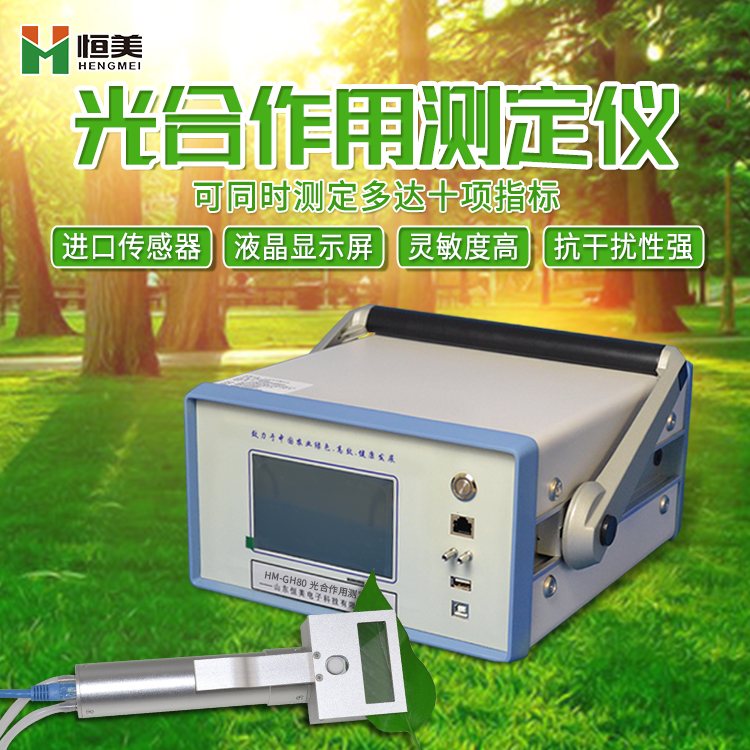 植物光合作用检测仪的应用可有效促进农业产量的提升