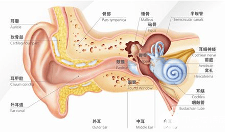 长期戴耳机的危害有哪些?耳机种类的选择很重要