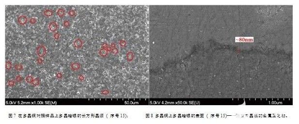 多晶銅對(duì)照（掃描電鏡SEM）