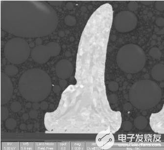 銅鎳襯底上的錫球剖面（掃描電鏡SEM）