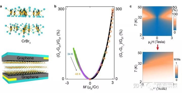 科学家发现二维铁磁半导体中隧穿电导由磁化强度决定