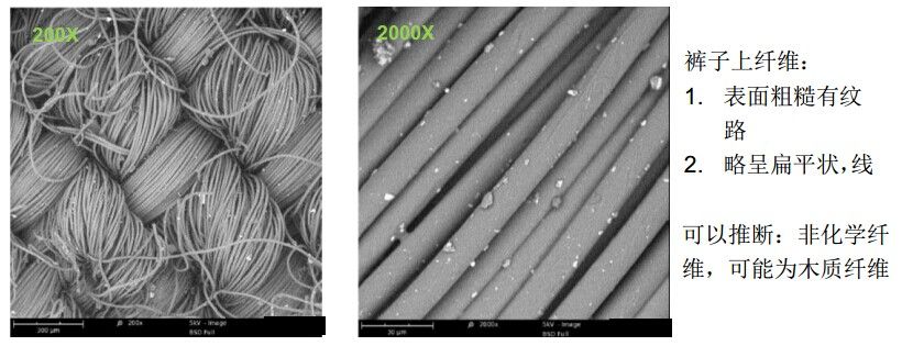 裤子上的附着的颗粒纤（扫描电镜SEM）
