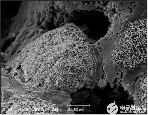 金屬氧化物（掃描電鏡SEM）