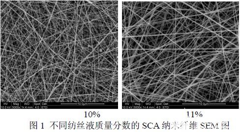 SCA納米纖維（掃描電鏡SEM）