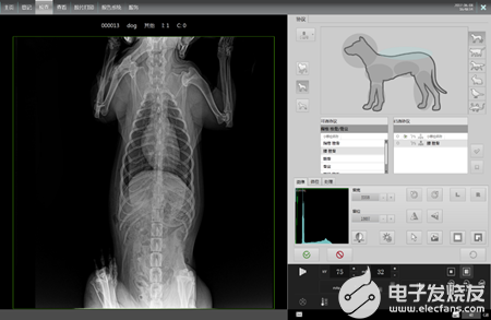寵物醫療快速發展，寵物DR助力醫學影像準確診斷