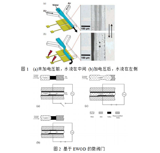 EWOD在芯片實驗室方面的應用研究