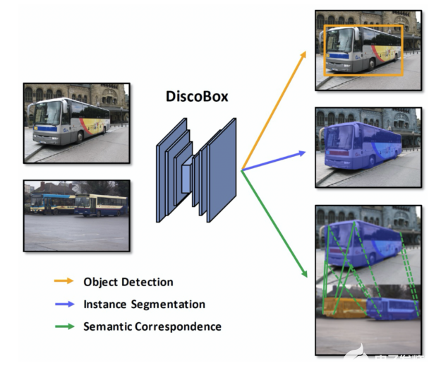 使用DiscoBox DL框架實現高質量實例分割