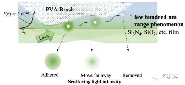 利用PVA刷观察表面附近的接触清洗现象
