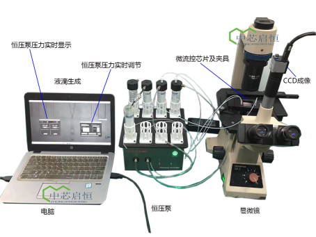 利用微流控芯片制备海藻酸钠微球