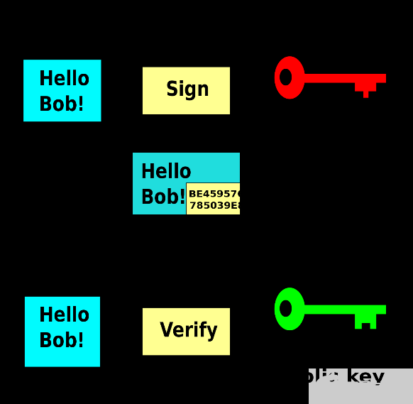 fig4 非对称算法