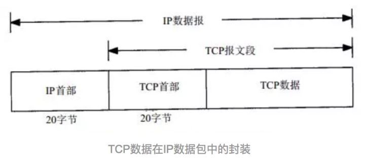 TCP