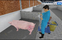 华锐互动发力VR 动物养殖生产虚拟仿真教学系统助力教学改革