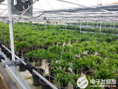 抗高湿二氧化碳传感器在植物养殖中的应用