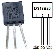 如何利用DS18B20传感<b>器</b>通过PIC微<b>控制器</b><b>获得</b>温度
