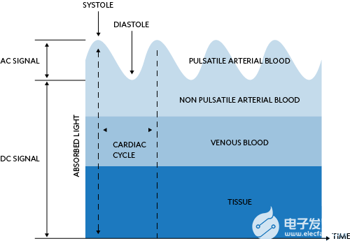 检测器