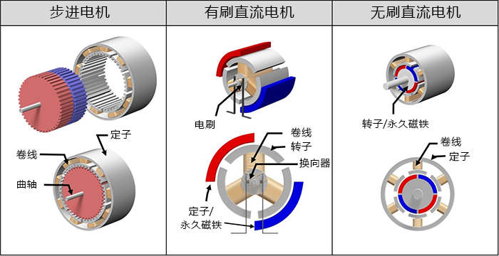 电机