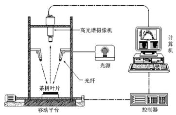 利用高光谱技术分析茶树叶片中叶绿素含量及分析