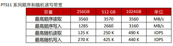 常用存储芯片-固态硬盘PTS11系列推荐