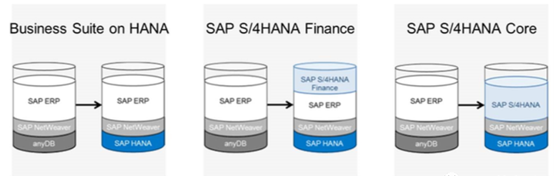 SAP入门篇(1)—SAP S/4 HANA的演变过程和版本更新